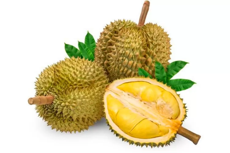 durian